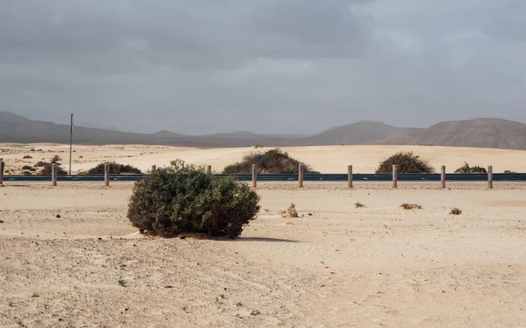 Lanzarote i Fuerteventura - czy suche wyspy są pewniejsze?
