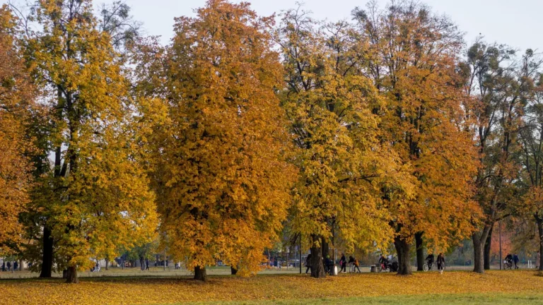 ciepłe kierunki jesień godzin