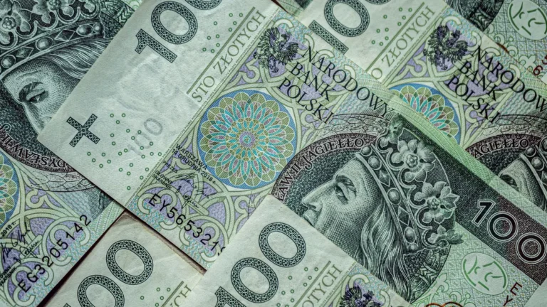 październikowe słońce ceny kierunki