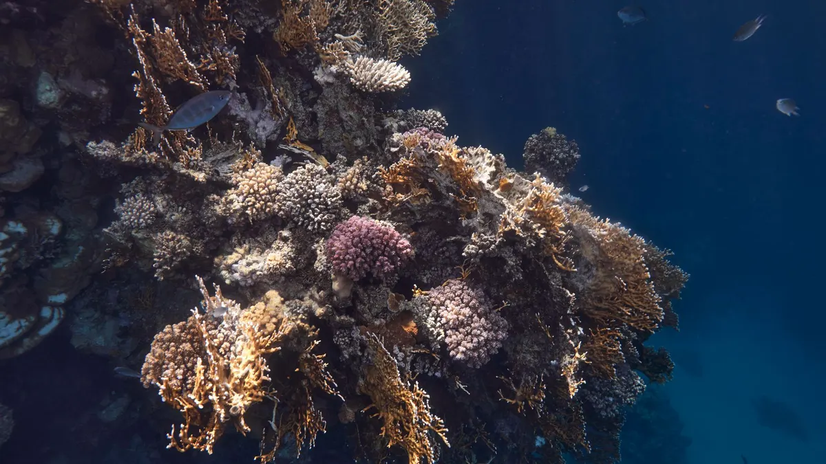 marsa alam słońce pewne