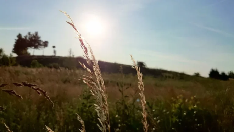 pewne słońce majówkę kierunki