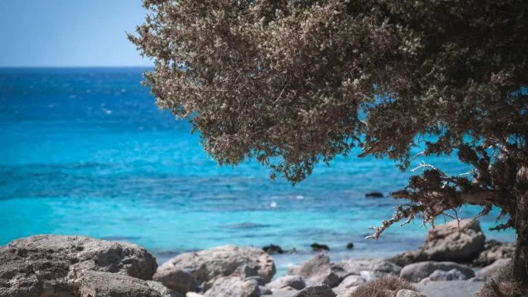 cypr kreta październiku ostatnie