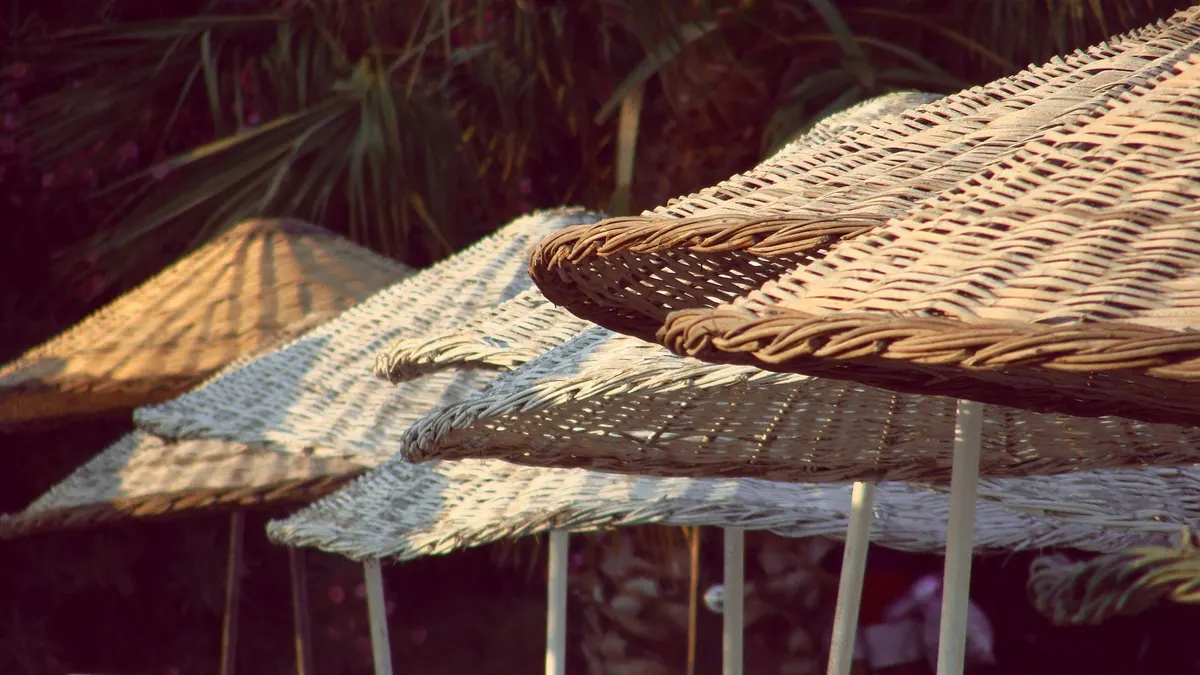 parasol parawan palma cień