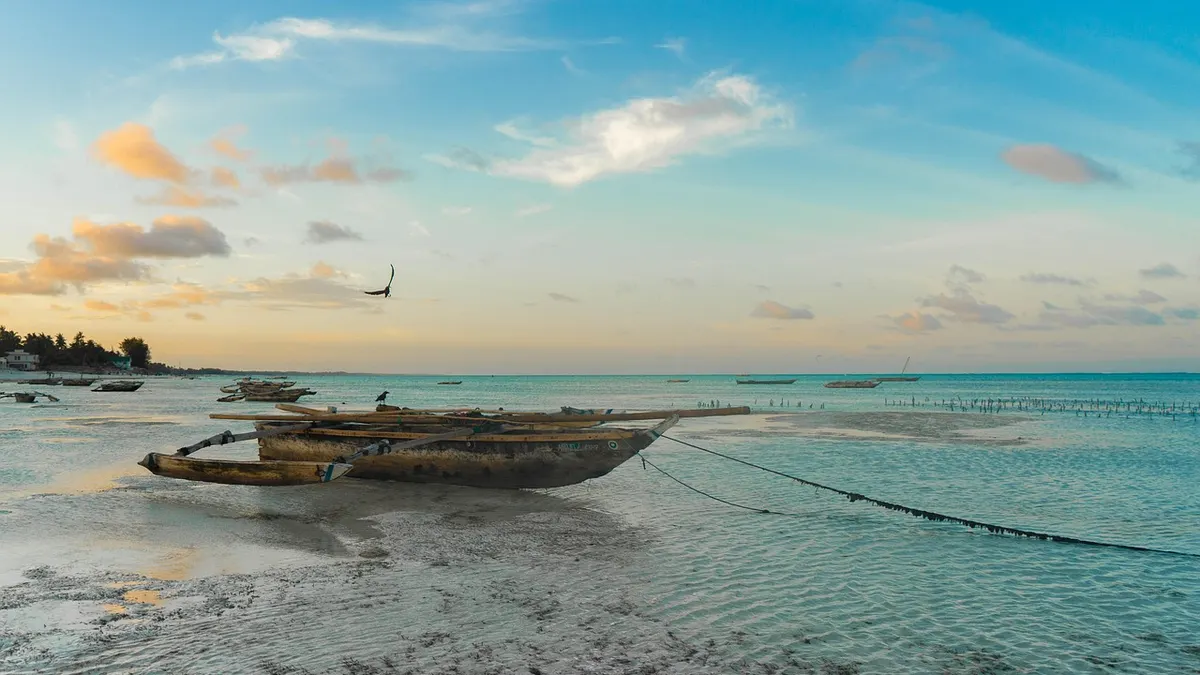 zanzibar dominikana zimą tropiki