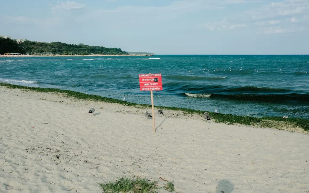 Morze Czarne - jak sprawdzić fale, flagi i jakość kąpieliska?