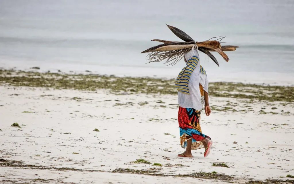 Checklista Zanzibar last minute - decyzja przed zakupem w 15 minut