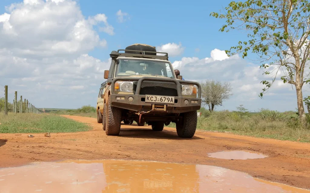 Safari w porze deszczowej - czy zwierzęta i drogi są trudniejsze?