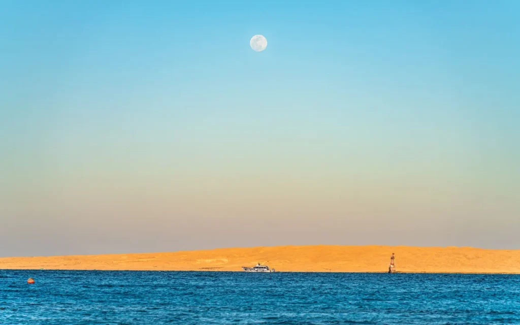 Morze Czerwone - Hurghada i Marsa Alam przez 12 miesięcy